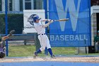 Baseball vs Babson  Wheaton College Baseball vs Babson during Championship game of the NEWMAC Championship hosted by Wheaton. - (Photo by Keith Nordstrom) : Wheaton, baseball, NEWMAC